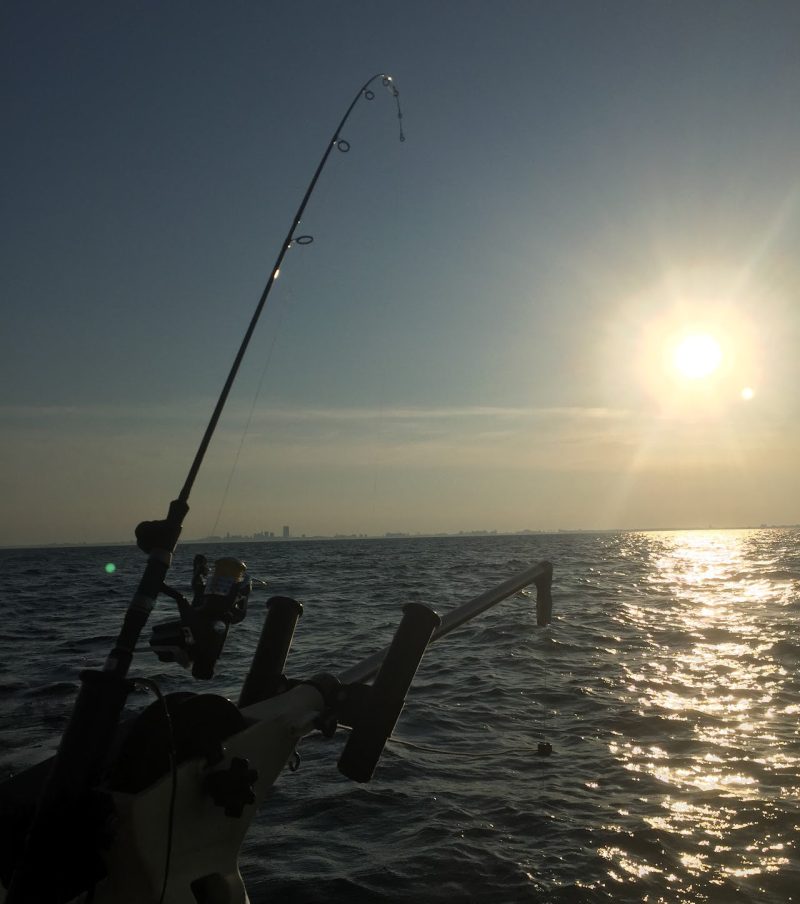 Mpowr Open face Electric Fishing Reel on Rod at Sunset