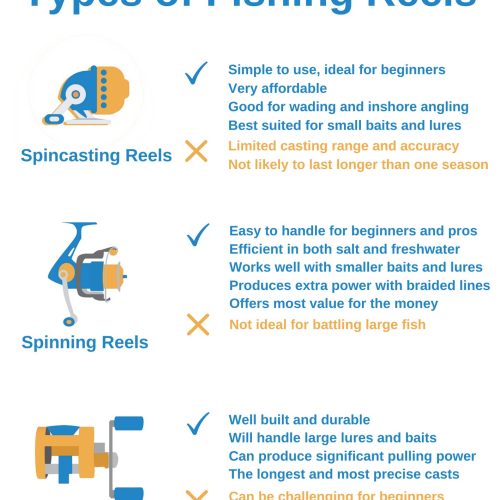 Types of Fishing Reels 1